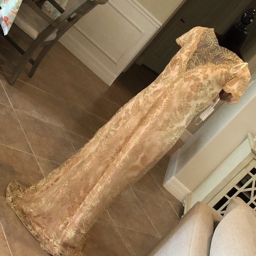Tadashi Shoji gown, gold lace over blush shell, back zip, v back, size 14, NWT